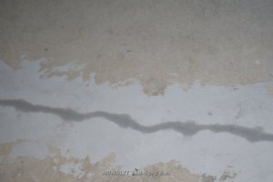 338-foto3.jpg